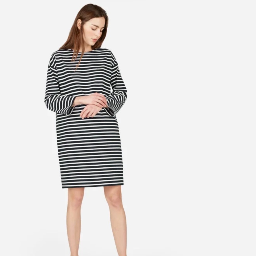 Everlane Black/White Striped Breton Cotton Dress